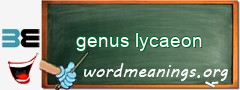 WordMeaning blackboard for genus lycaeon